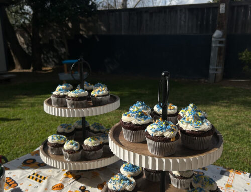 Vegan Chocolate Cupcakes